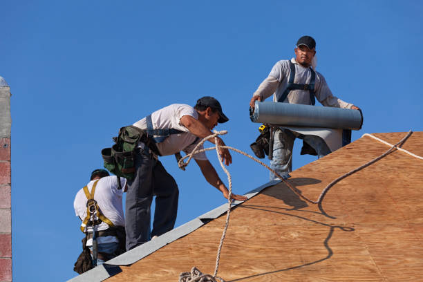 Best Commercial Roofing Services  in Aldan, PA