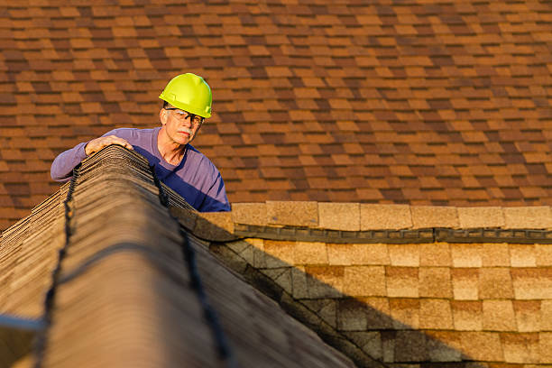 Roof Gutter Cleaning in Aldan, PA